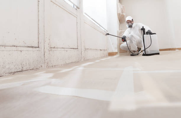 24/7 Emergency Black Mold Remediation experts in Jacksonville, OR
