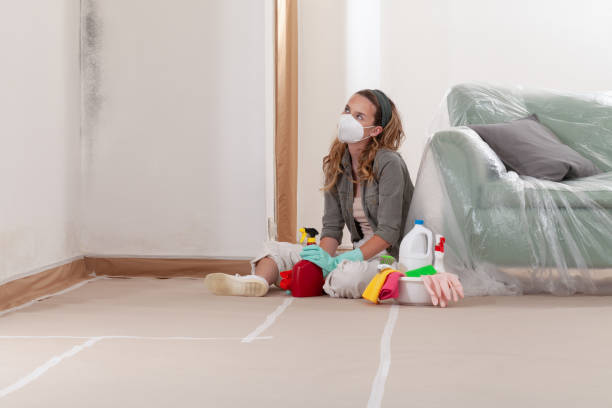 Reliable Black Mold Remediation contractor in Jacksonville, OR by Mold Remediation HQ